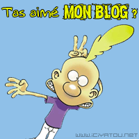 lache t comm's